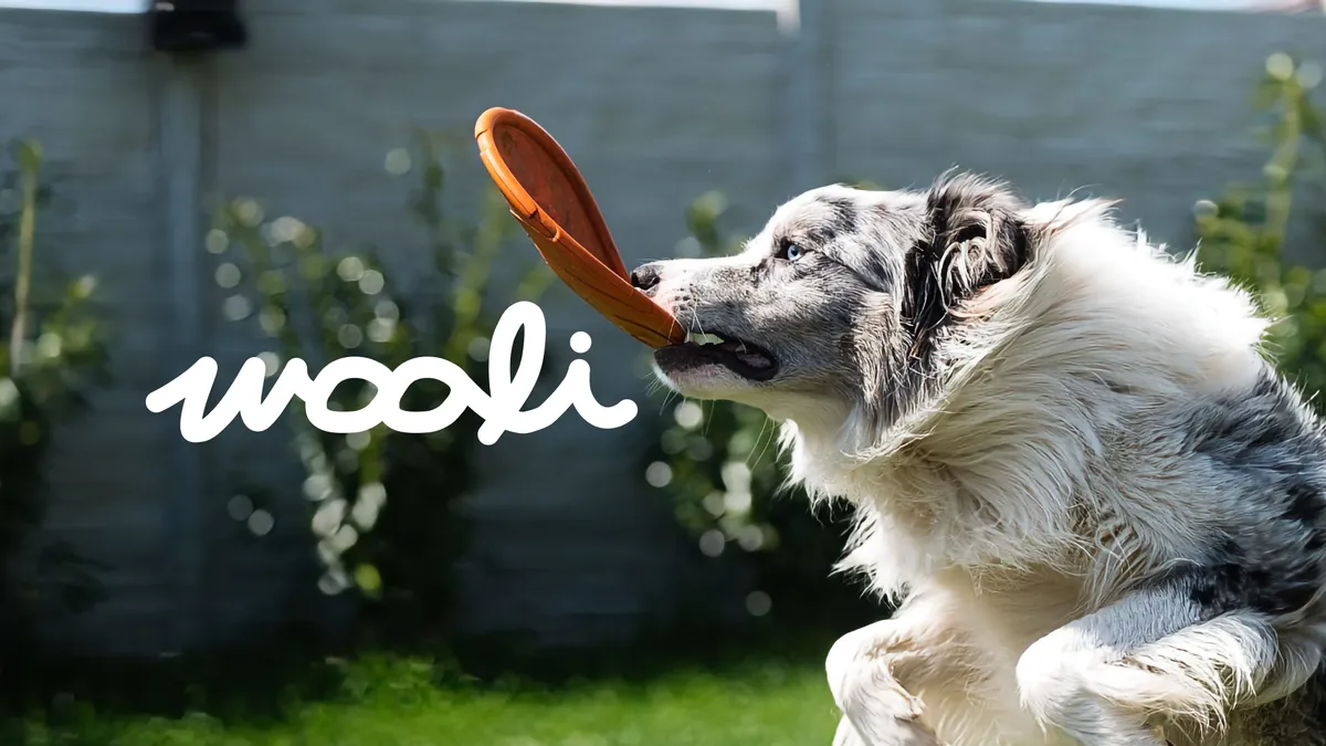 Wooli wordmark over an Australian shepherd catching a frisbee